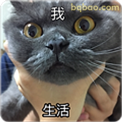 我被生活吓到