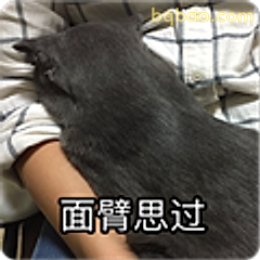 面臂思过