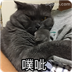 黑猫噗呲表情包