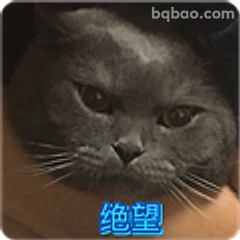 绝望猫脸