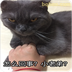 怎么回事？小老弟？