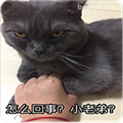 怎么回事？小老弟？