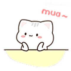 小猫mua~亲亲