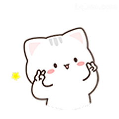 小猫比心萌化了