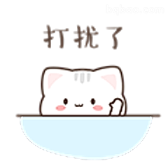 打扰了小猫咪