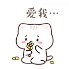 爱我...小猫咪