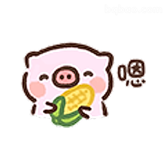 小猪啃玉米嗯
