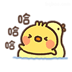 小黄鸡哈哈大笑