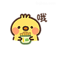 小鸡吃面哦