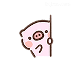 小猪探头偷看