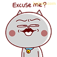 Excuse me？猫咪歪嘴