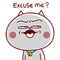 Excuse me？猫咪歪嘴