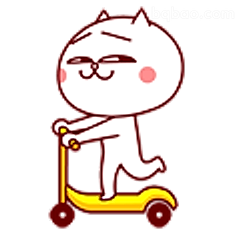 骑滑板车的小猫