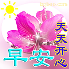 天天开心早安花