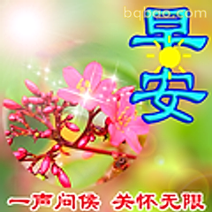 早安花朵问候