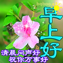 早上好清风花语祝福