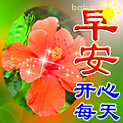 早安开心每天