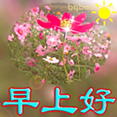 早上好花朵阳光