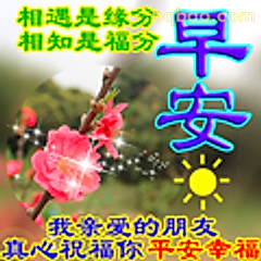 早安祝福桃花枝