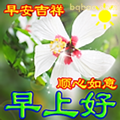 早安吉祥顺心如意