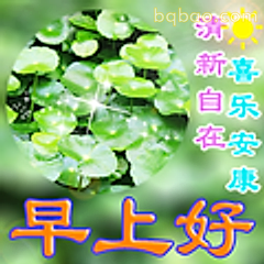 早上好清新绿叶问候