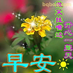 早安花朵阳光问候