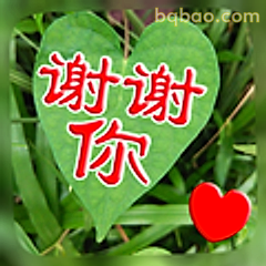 绿叶心形谢谢你